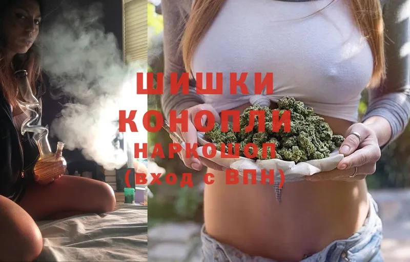 купить наркотик  Новошахтинск  Бошки марихуана THC 21% 